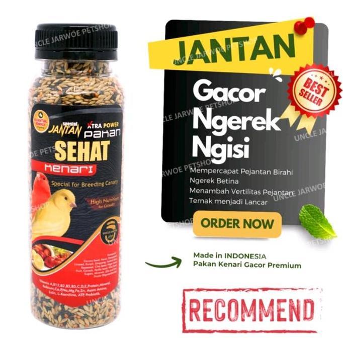 JANTAN PAKAN SEHAT KENARI GACOR  CAROLL KENARI murah
