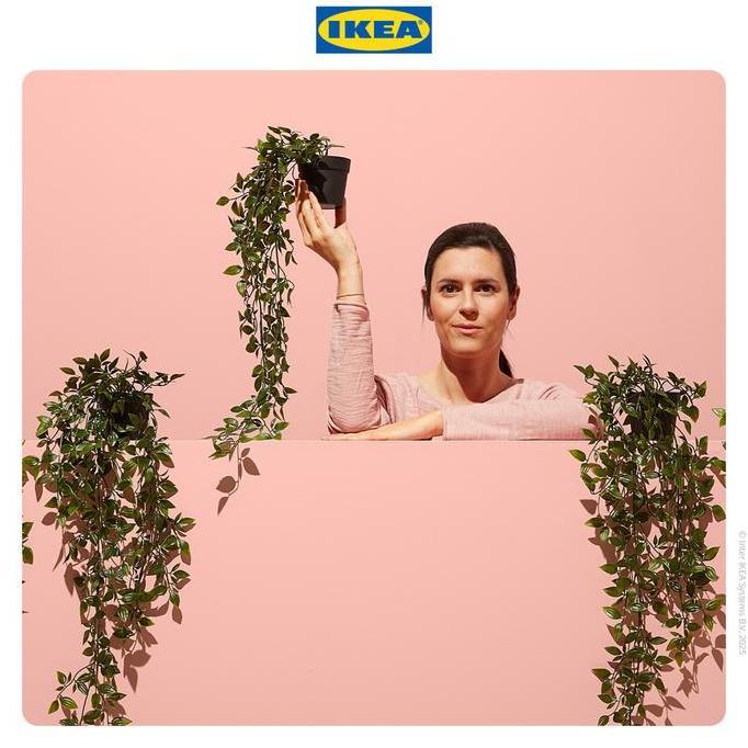 IKEA FEJKA Tanaman Hias Gantung dengan Pot 9 cm