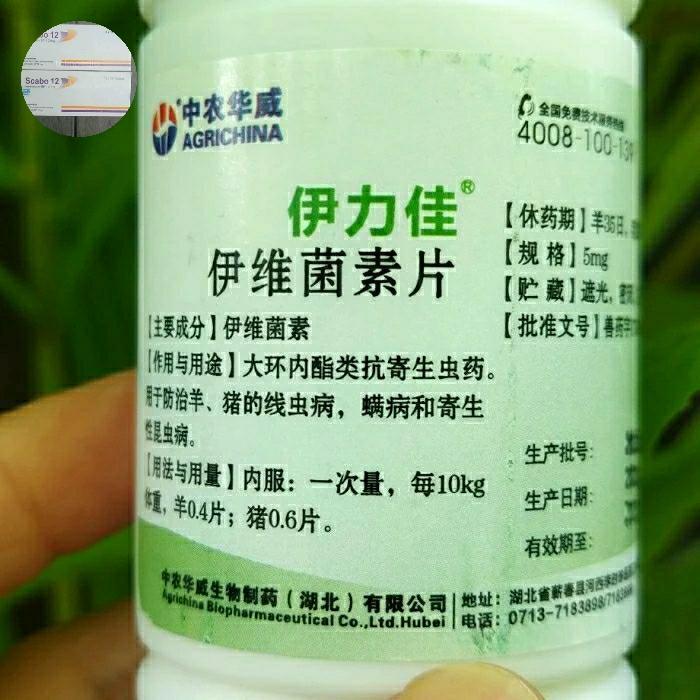 Ivermectin Tablet 5Mg Segel Barcode Scabies Cacing Parasit Iver Inver New