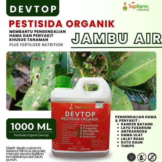 Obat Untuk Hama Buah Jambu Air / Obat Hama Daun Jambu Air / Obat Hama Tanaman Pohon Jambu / Obat Ham