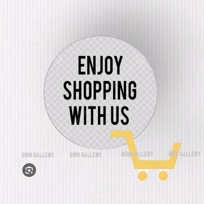 NGEKEK LOVEBIRD PAKAN BURUNG LOVEBIRD NGEKEK KONSLET