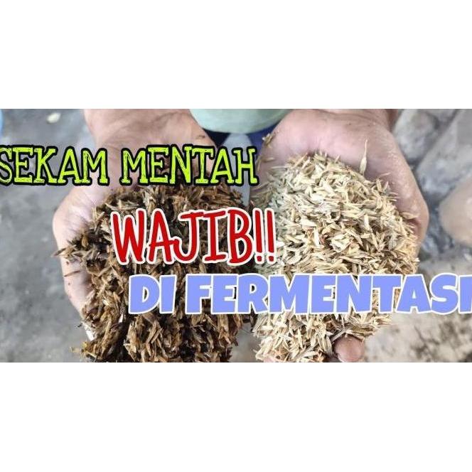 Media Tanam Sekam Mentah Fermentasi (Geek Farmer) by ARI