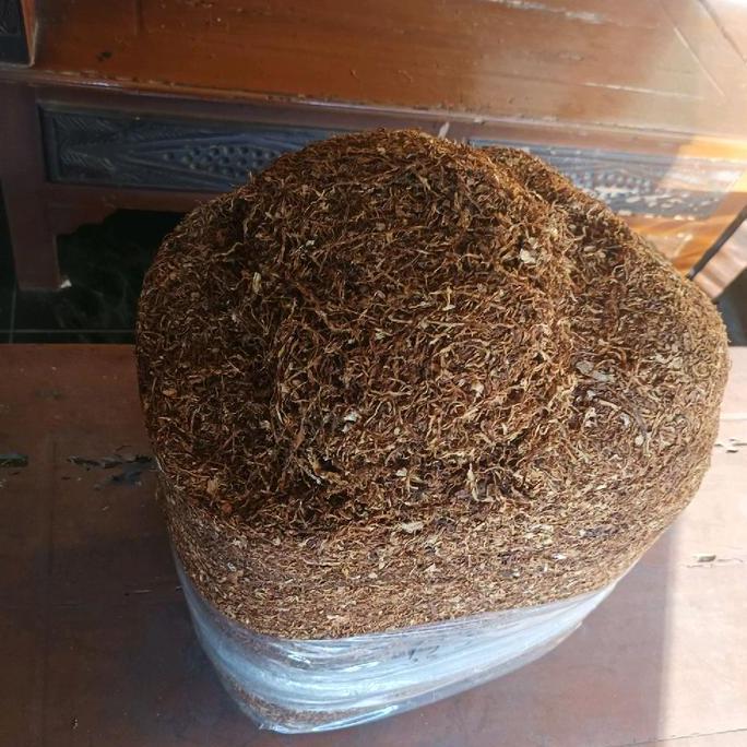 media tanam lamsii soft  kota original asli sumbing Tanaman