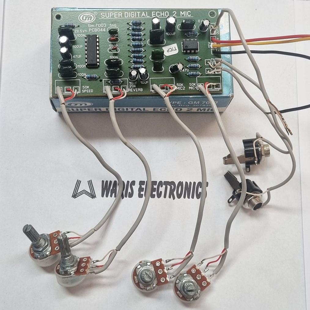 Kit Digital Super Echo 2 Mic Gm 7003