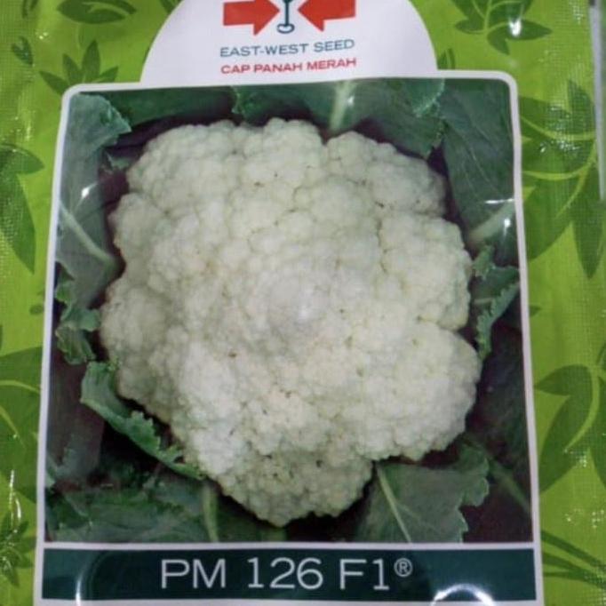 Benih bunga kol PM126 F1 10 gram bungkul hibrida pm 126 panah merah kembang kol pm126 f1 bunga kol d