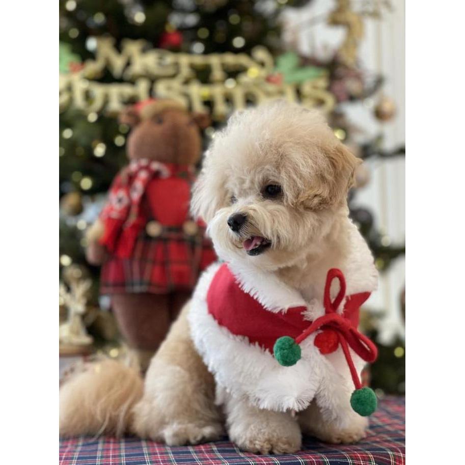 Enimal- Baju Doggy Natal Christmas Super Quality Red Cape Pawpawsome Projects