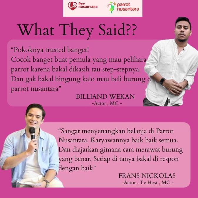 Fugl- Burung Parkit Jinak