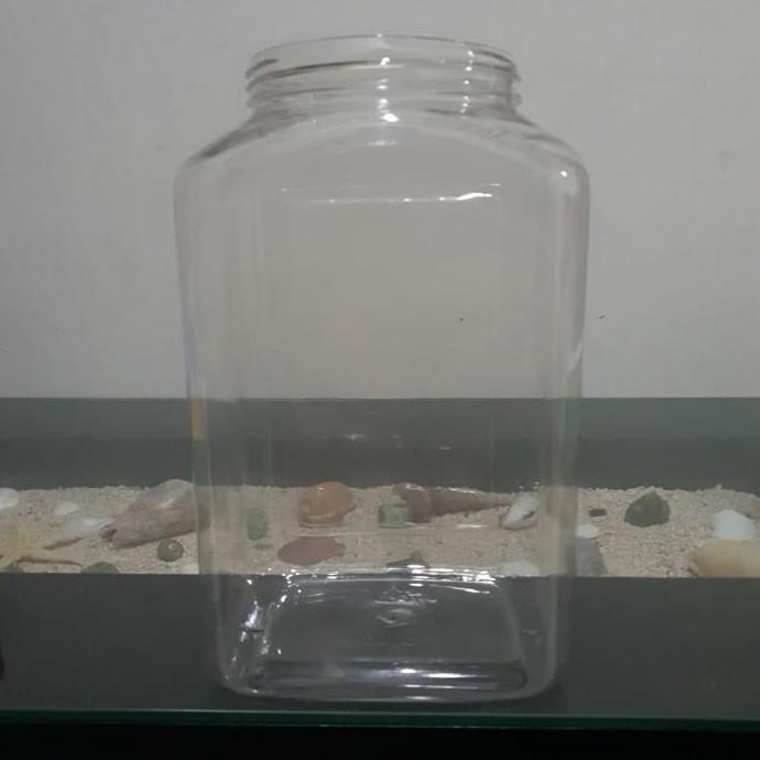 Toples Plastik Ikan Cupang 4 Liter Tanpa Tutup