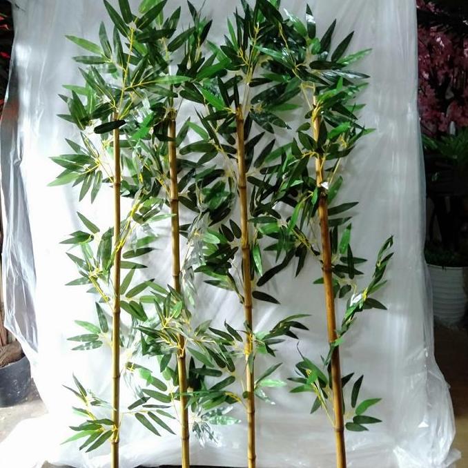 TERBARU POHON BAMBU PARTISI CENDANI BATANG ASLI TINGGI 100CM TOTAL DENGAN DAUN TINGGI 120CM BUNGA PL