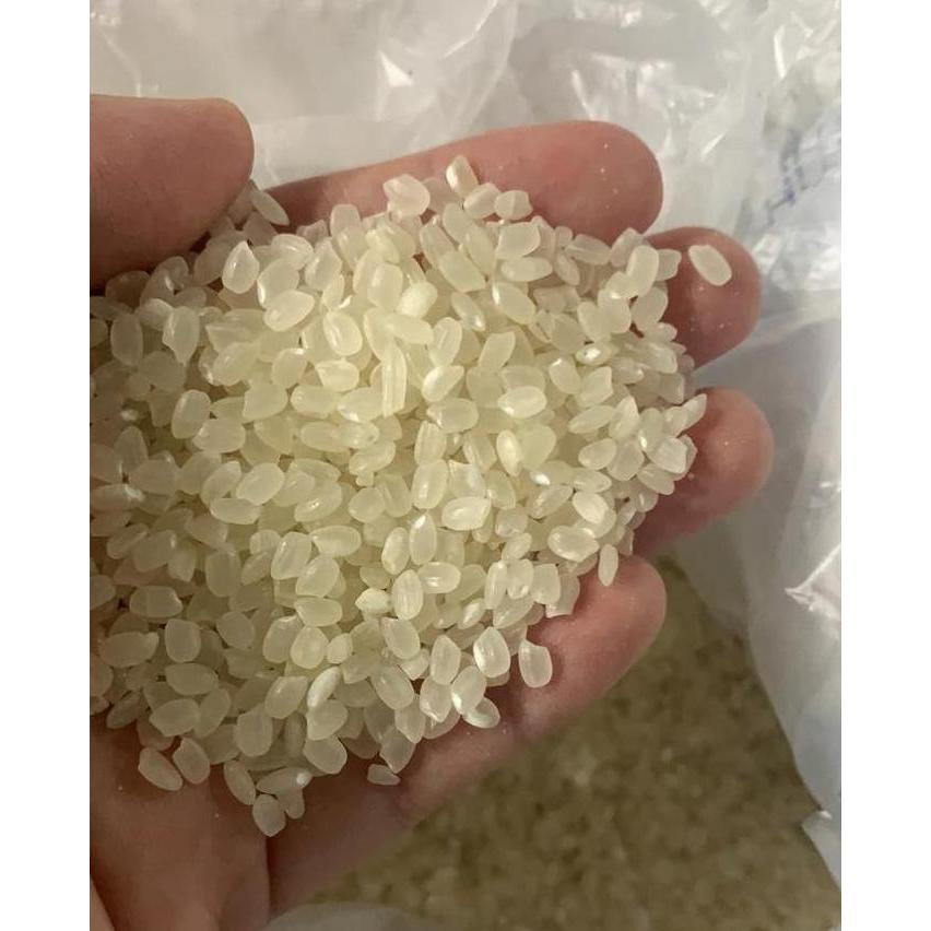 beras jepang koshihikari / beras sushi koshihikari 5 kg