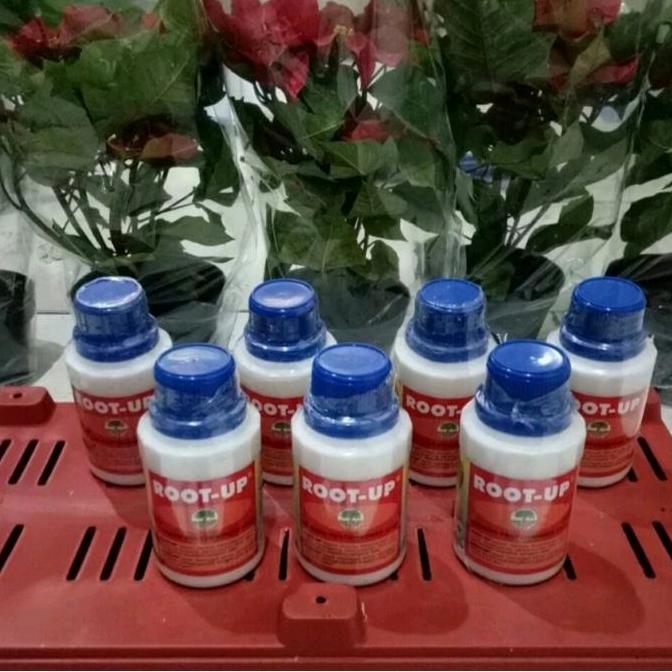 Root Up 100 Gram Hormon pertumbuhan akar stek batang cangkok Tanaman