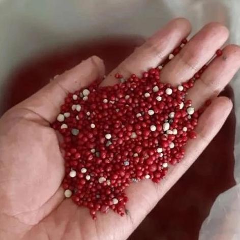 Pupuk Merah 19-10-13 kemasan 200gr. Pupuk Merah Aglonema