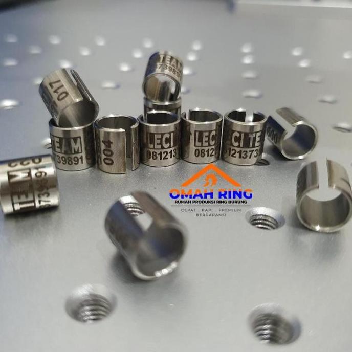 BEST PRICE - Baja Belah Merpati | OMAH RING | merpati Model baja belah VARIASI & Laser Standart Ting