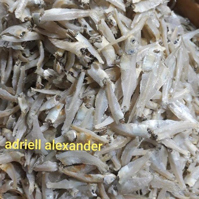 Ikan Teri Gepeng.Teri Pekto Medan