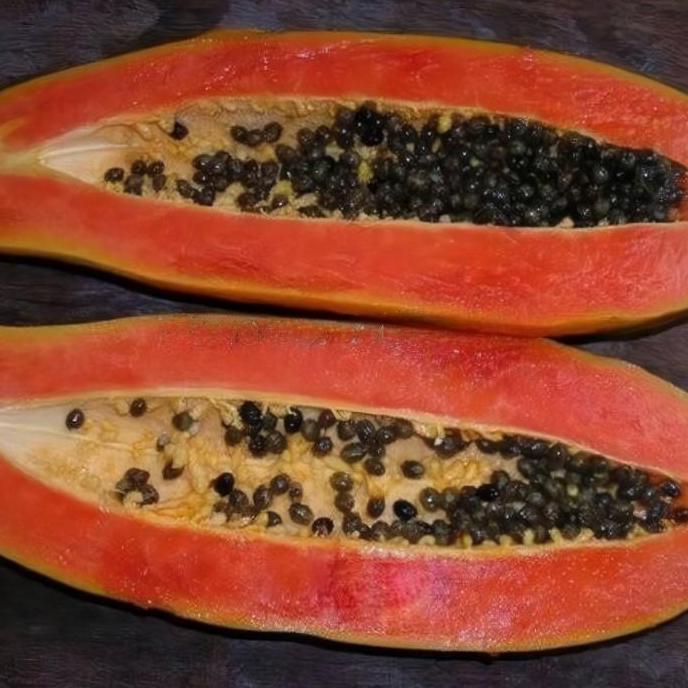 Biji Benih Pepaya Raksasa F1 Import / Benih Pepaya Raksasa Langka Unik