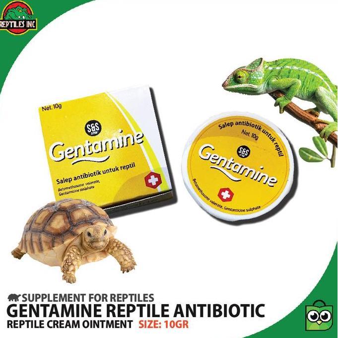 Gentamine Salep Obat Antibiotik Reptil / Luka Jamur Shell Rot Iritasi
