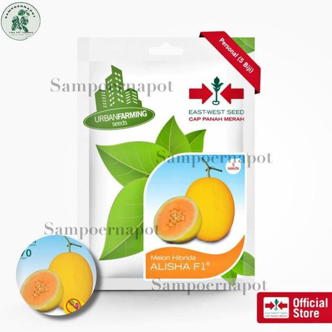 benih bibit melon hibrida alisha f1 cap panah merah - MELON ALISHA F1
