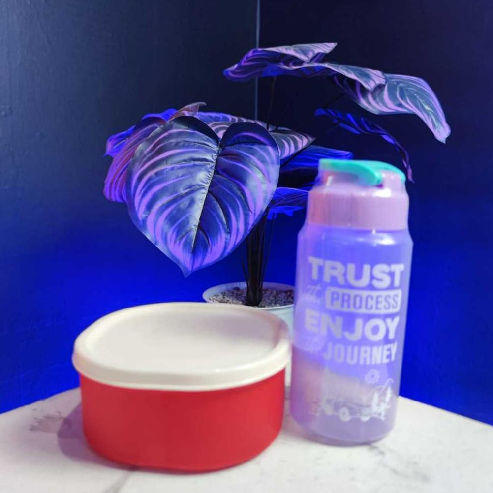 HOT DEALS Kotak Makan Mini Kecil Anak 500 ML Lunch Box Wadah Bekal Cemilan Snack Bayi Lucu Tepak+BOT