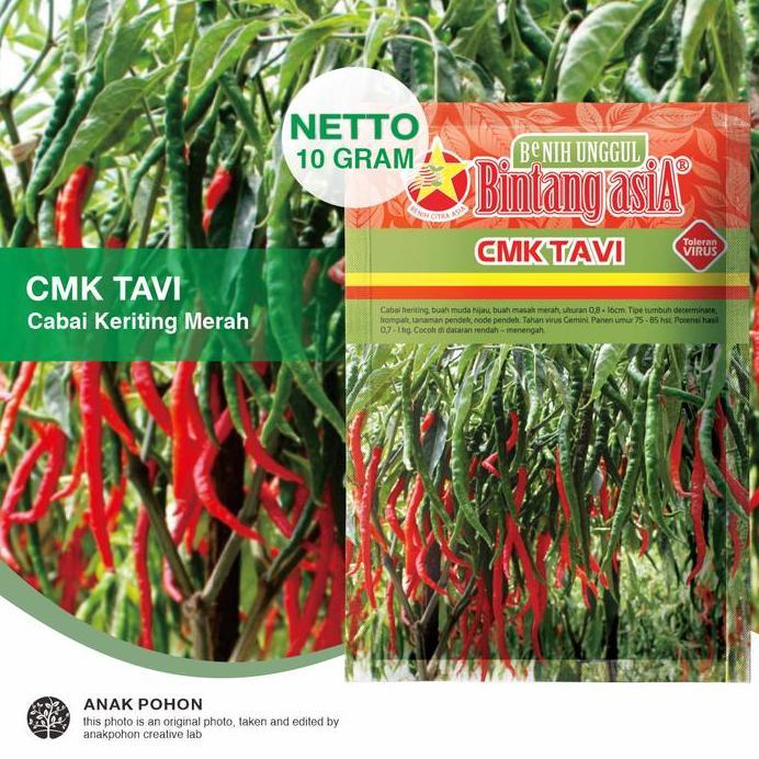 (1 PACK) Benih Cabe Merah Keriting CMK TAVI F1 Seeds - Bintang Asia
