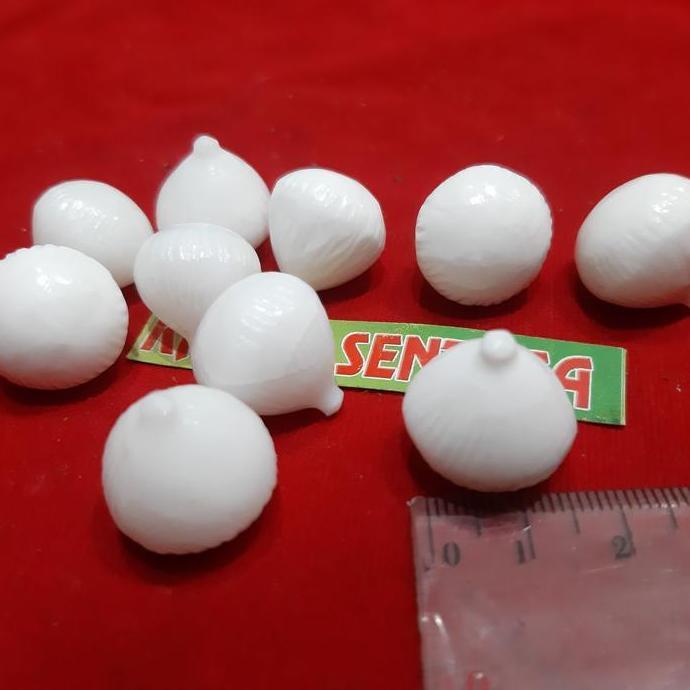 Batu Fosil Mustika Kelapa 10pcs