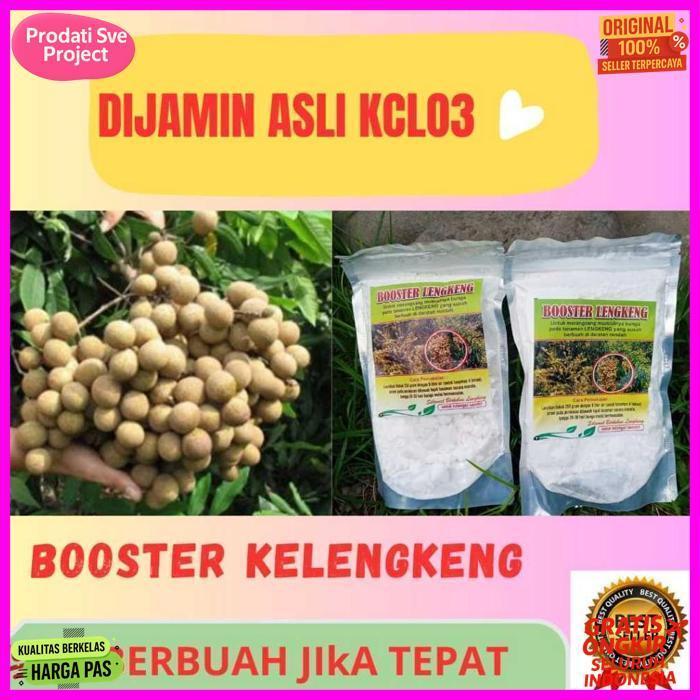 Anti Layu ! Boster Kelengkeng Kclo 3 Murni, Boster Kelengkeng Kclo 3