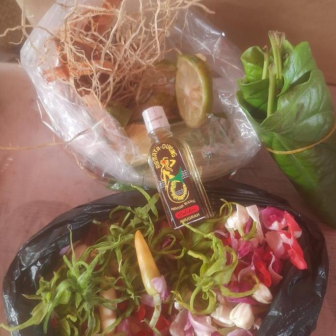 Bunga Mandi Macan kerah Aroma therapi CS