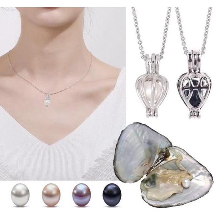 Kalung Mutiara Kerang Asli Wish Pearl Necklace Hadiah Valentine Ultah PM