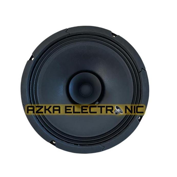 Speaker ACR 8 Inch Full Range C-810-DFH