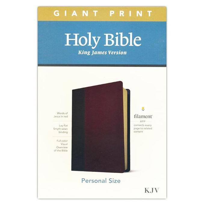 Alkitab King James Version Kjv Personal Size Giant Print Leather-Like Baru