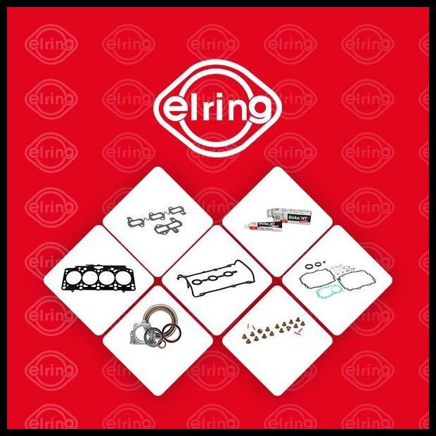 TERLARIS SEAL KLEP EXHAUST BMW N20 N28 F20 F30 EX - ELRING SET 