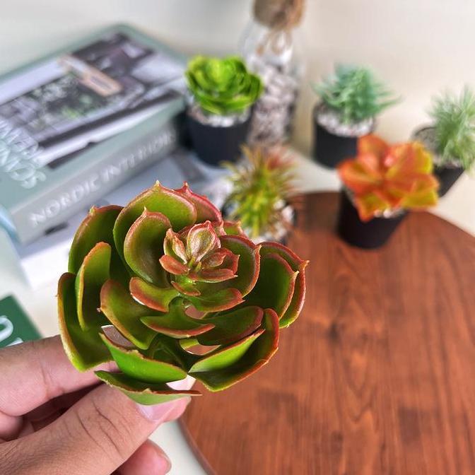 Kaktus Hias Mini Plastik Tangkai Tanpa Pot Artificial Ornamen Dekorasi Ruangan