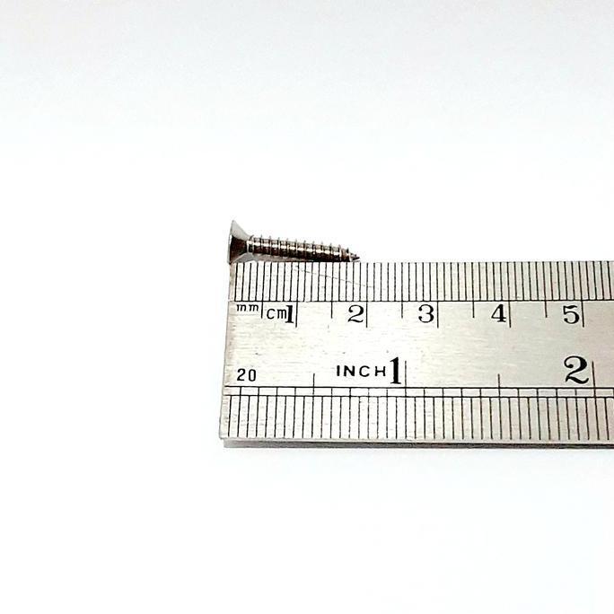 Skrup Stainless 6 x 3/4 isi 30bh murah