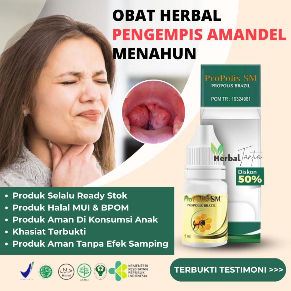 Obat Amandel Akut/Pengempes Amandel/Amandel Bengkak Sebelah - Propolis SM Herbal Alami terlaris