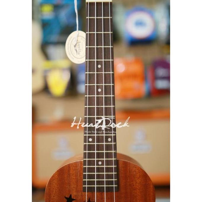 Ready  Ukulele Concerto Paladin Dalce