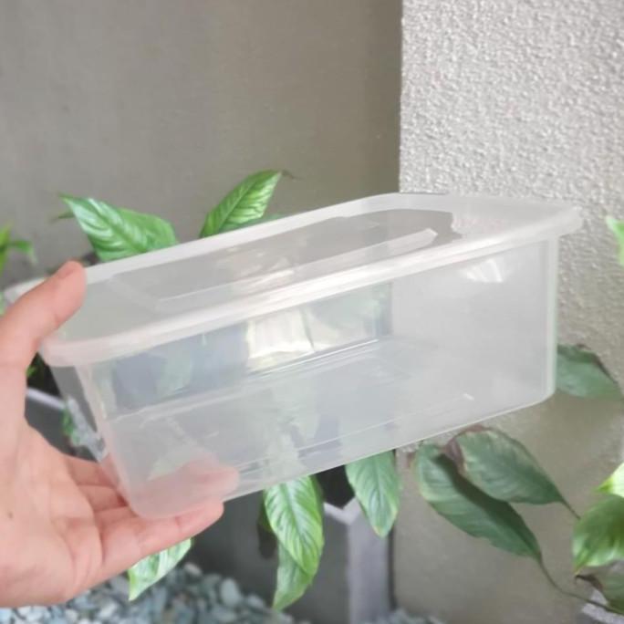 Thinwall Square 2000ml / Thinwall Kotak 2000ml. Isi 25pcs