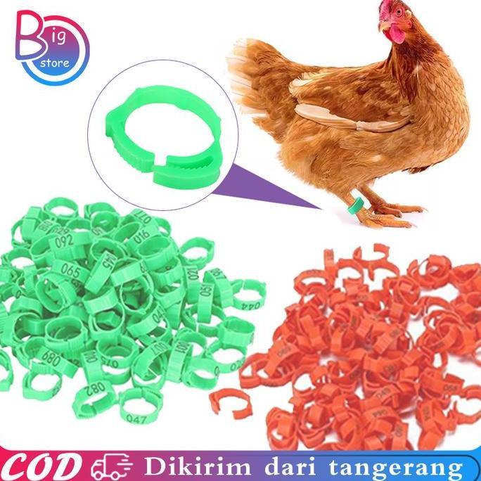 DISSORDE Isi 50 Gelang Kaki Ayam Shamo Gelang Kaki Ayam Bangkok Segel Ayam Kaki Ring Gelang Kaki Aya