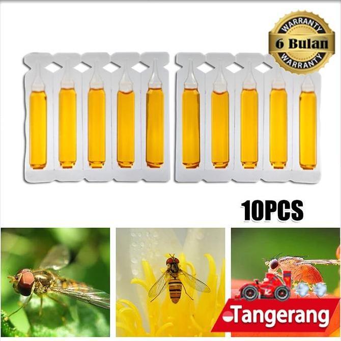 SEIRAKY 10pcs Fruit Fly Attractant 2ml Trap Bait / Fruit Fly Attractant Liquid