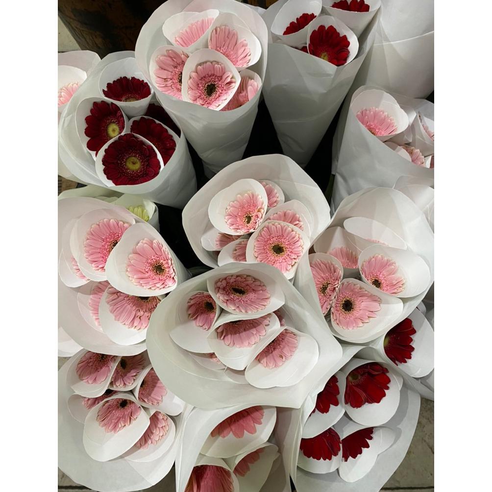 Bunga garbera segar / bunga hebras