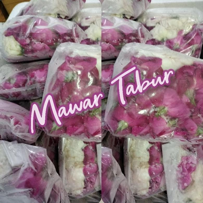 bunga mawar wangi mawar tabur kampung mawar pink harum segar