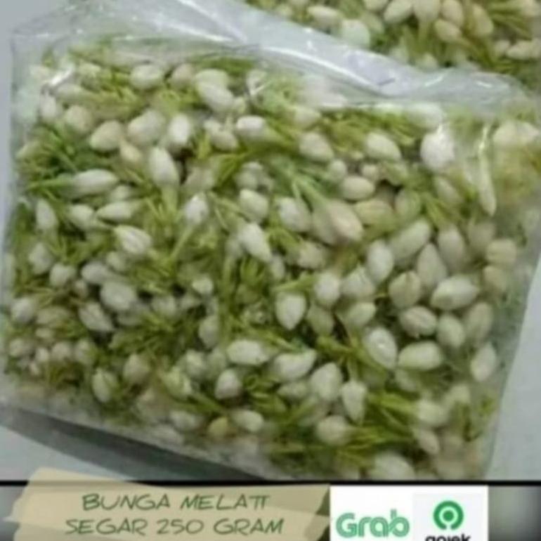 Melati Fresh Segar / Bunga tabur melati