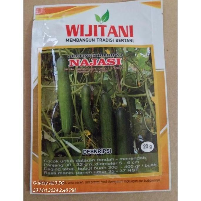 Timun Najasi isi 20 gram wijitani