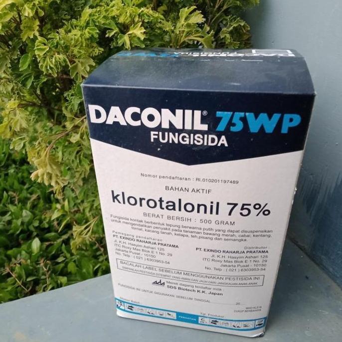 DACONIL 75WP 500gr - Fungisida