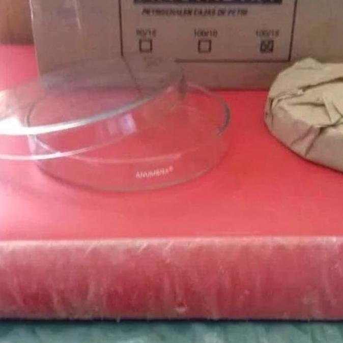 Cawan Petri Kaca 120 X 20Mm Anumbra. Petridish. Petri Gercep