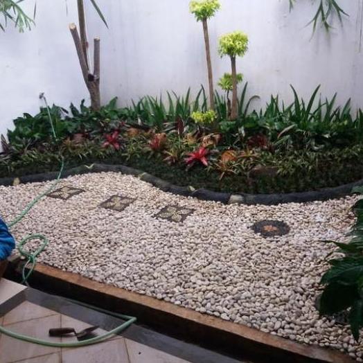 Batu Korall Putih / Batu Hiasan Taman