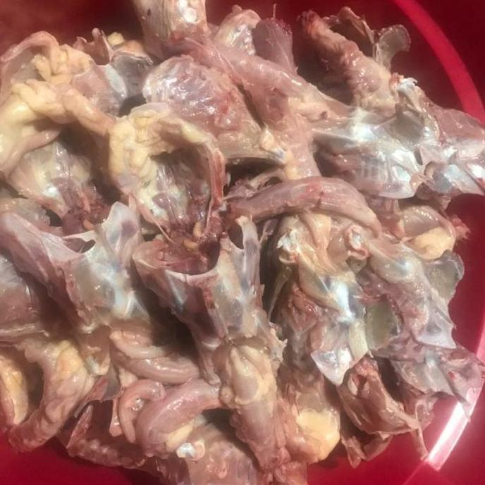 kerongkong tulang ayam fresh