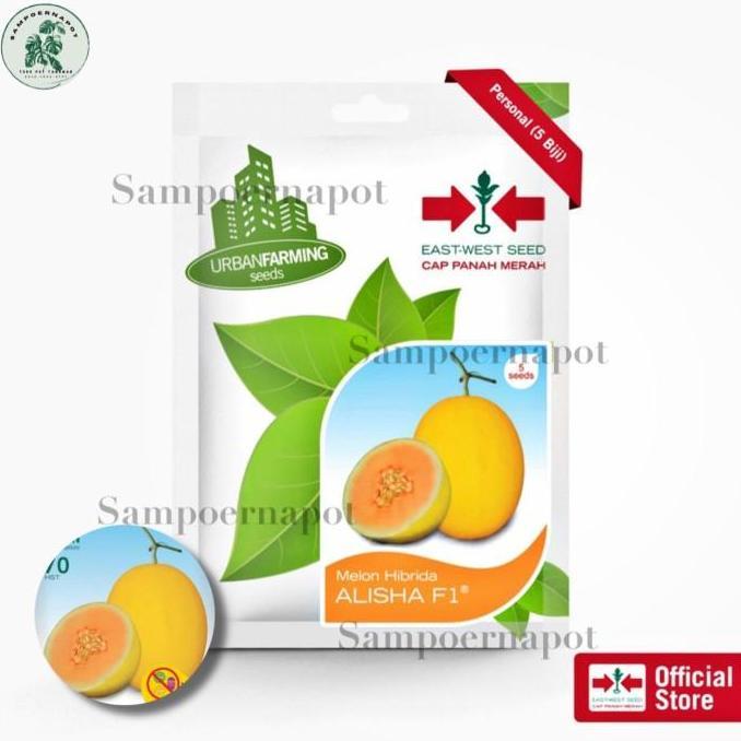 benih bibit melon hibrida alisha f1 cap panah merah - MELON ALISHA F1