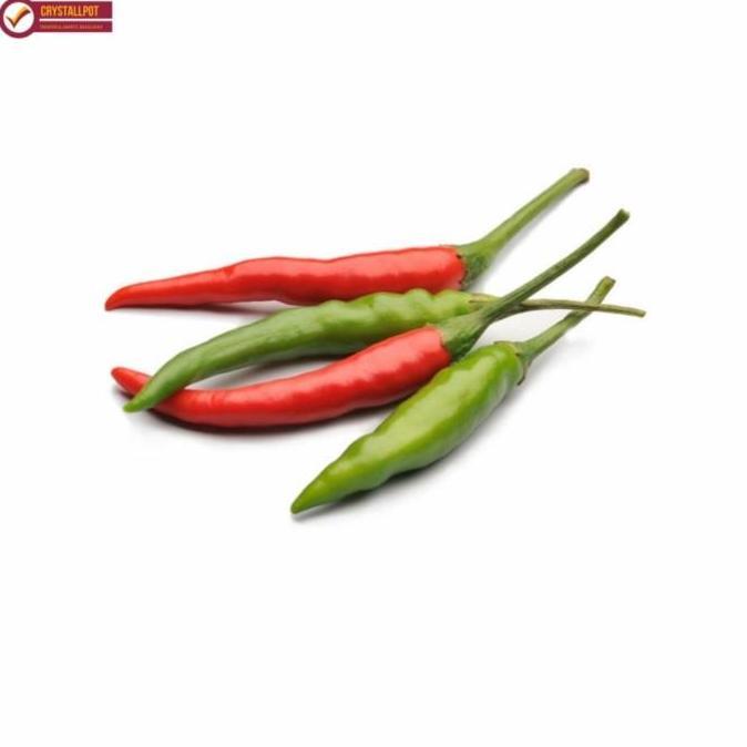 benih bibit cabai rawit bara cap panah merah - CABAI RAWIT BARA