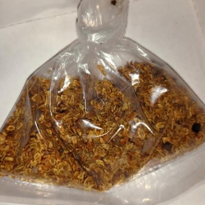 benih biji santigi MAWAR SUPER