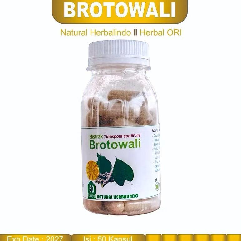(Terbaru) Obat Herbal Gatal Kulit Eksim BROTOWALI KAPSUL (Terlaris)