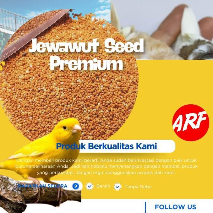 Pakan Burung Biji Jewawut Biji Kunyit Premium Untuk Kenari Finch Lovebird Perkutut 1 Kg